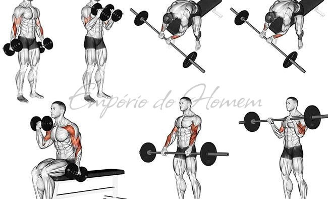 Flexor Force + Complete Workout for Muscle Mass Gain - Idealic life